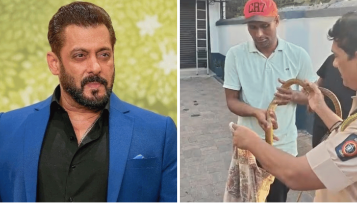 সালমানের বাড়িতে বিষধর সাপের আতঙ্ক, ধরা পড়ার পর জানা গেল আসল তথ্য