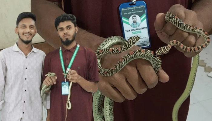 বরিশাল ডিআইজির কক্ষে মিলল কালনাগিনী, দেয়াল ভেঙে উদ্ধার