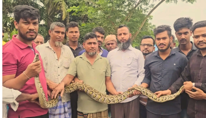 মাছের বদলে জালে উঠল ৮ ফুট লম্বা অজগর!