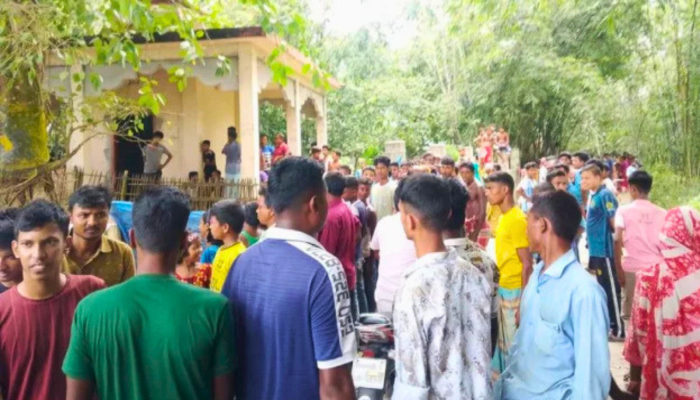 নীলফামারীতে সাপের কামড়ে শিশুসহ দুজনের মৃত্যু