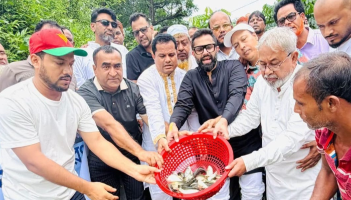 তিতাস নদীতে ৫ মণ বিভিন্ন প্রজাতির মাছের পোনা অবমুক্ত করল কুমিল্লা উত্তর জেলা বিএনপি