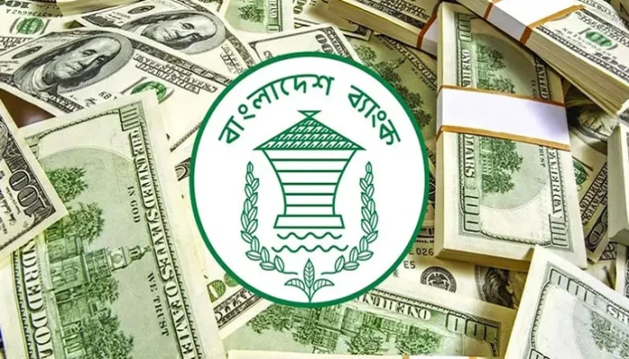 সেপ্টেম্বর মাসে রেমিট্যান্সের ইতিবাচক ধারা, ১৯ দিনে এল ১৮৭ কোটি ডলার