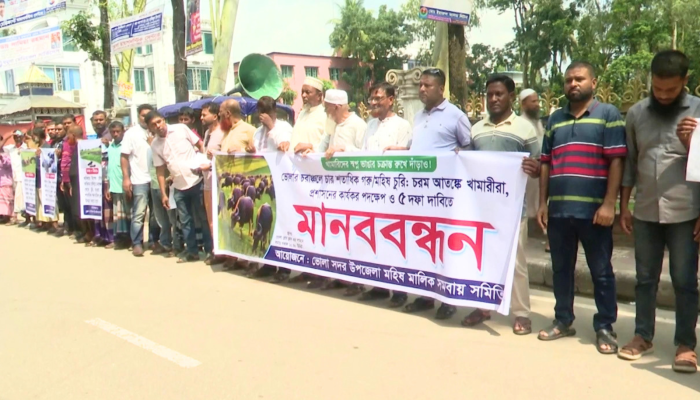 মহিষ চুরি বন্ধের দাবিতে মানববন্ধন ও স্মারকলিপি প্রদান
